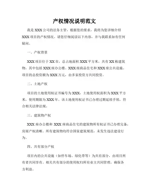 产权情况说明范文