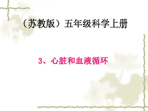苏教版五年级上册《心脏和血液循环》课件