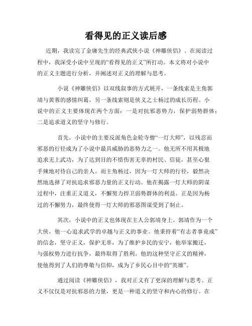 看得见的正义读后感