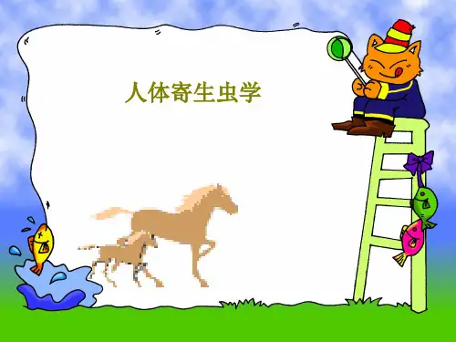 人体寄生虫学26页PPT