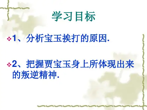 宝玉挨打课件ppt