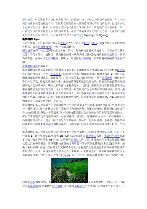 藻类植物