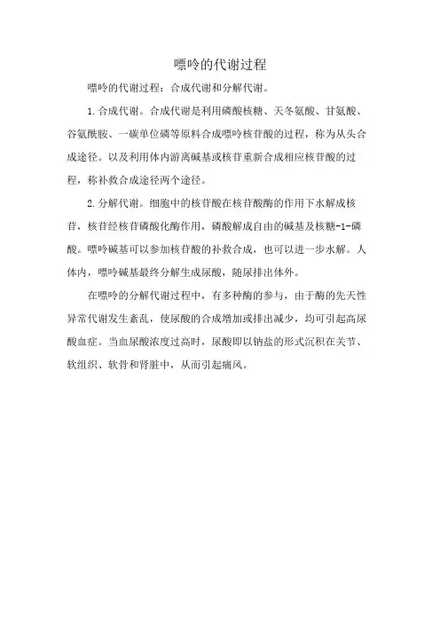 嘌呤的代谢过程