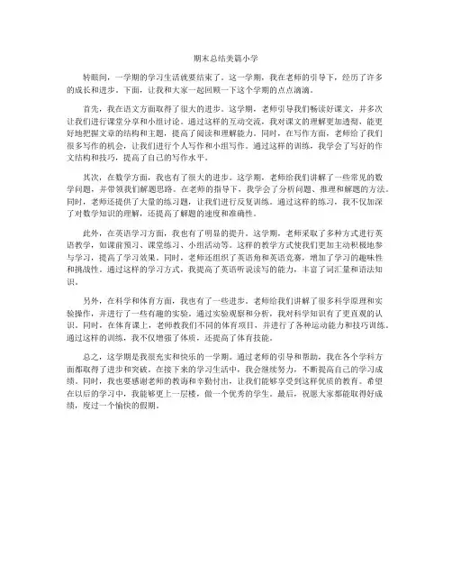期末总结美篇小学
