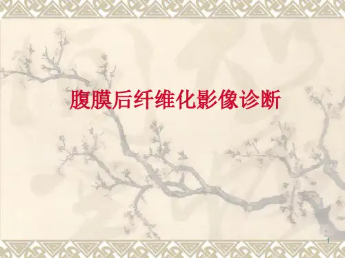 腹膜后纤维化影像诊断PPT课件