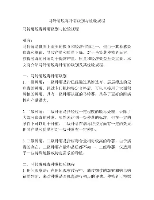 马铃薯脱毒种薯级别与检验规程