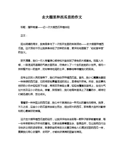 去大棚里种西瓜苗的作文