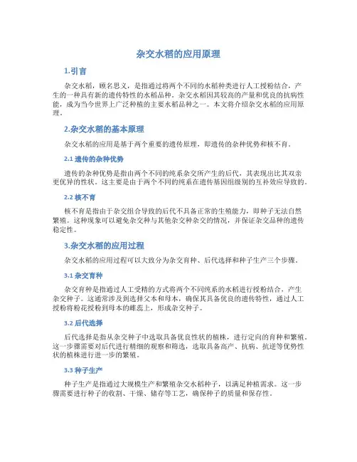 杂交水稻的应用原理
