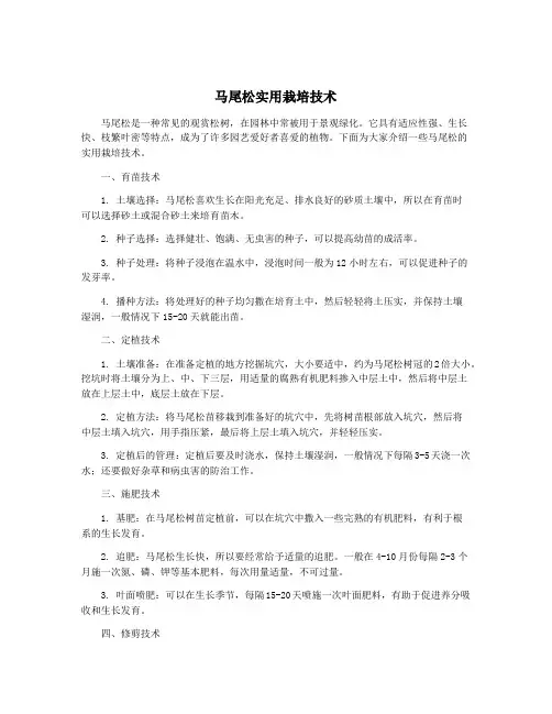马尾松实用栽培技术
