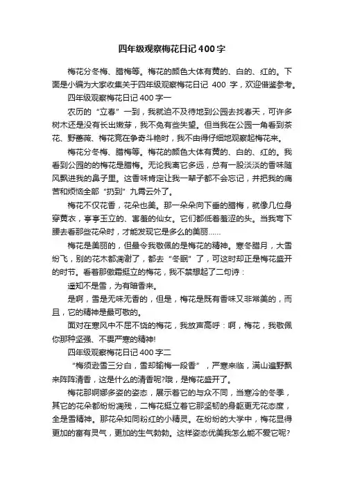 四年级观察梅花日记400字