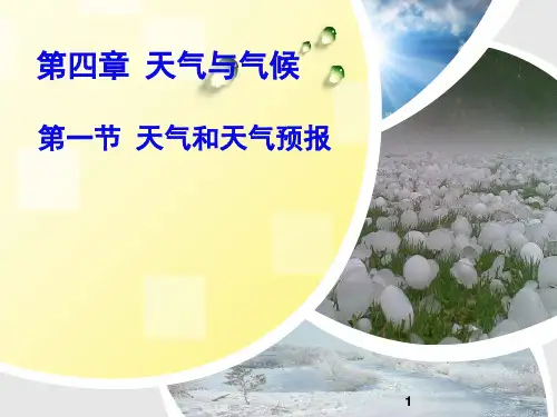 41  天气与天气预报解析PPT课件