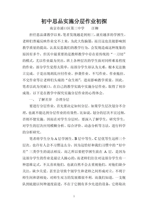 初中思品实施分层作业初探