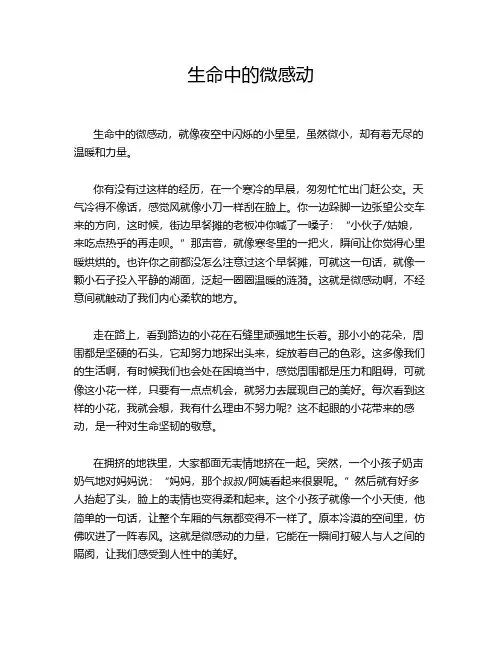 生命中的微感动