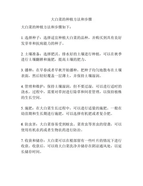 大白菜的种植方法和步骤