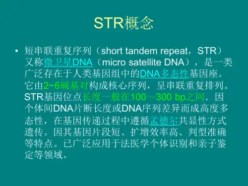 STR整理