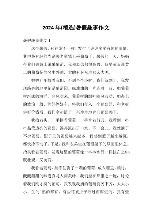 2024年(精选)暑假趣事作文