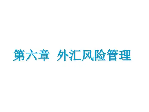 国际金融课程课件PPT外汇风险管理