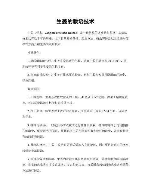 生姜的栽培技术