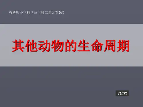 教科版小学科学三年级下册6其他动物的生命周期