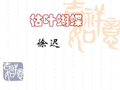 初中七年级上学期(初一上册)语文《枯叶蝴蝶》PPT课件4(鲁教版)