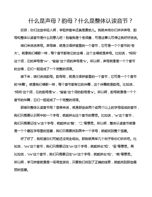 什么是声母？韵母？什么是整体认读音节？