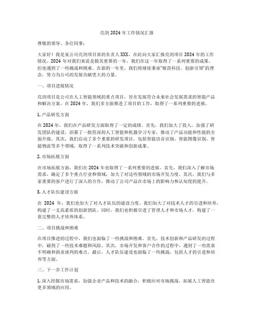 亮剑2024年工作情况汇报