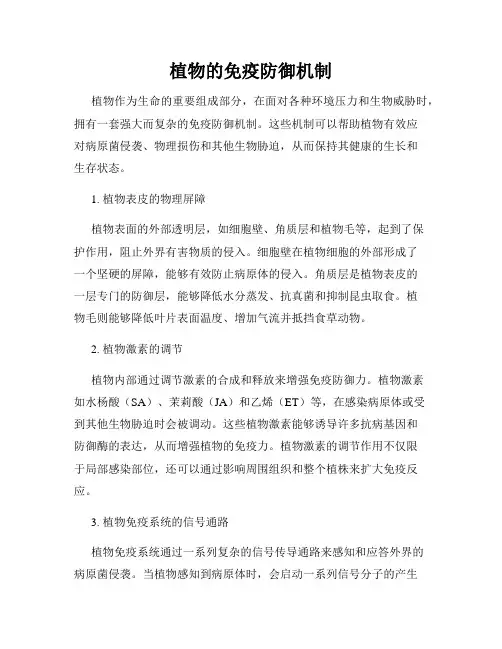 植物的免疫防御机制