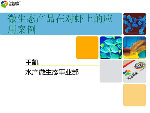 微生态产品对虾养殖中案例 共56页PPT资料
