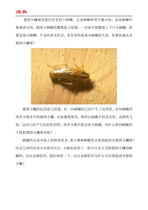 如何快速灭杀德国小蠊