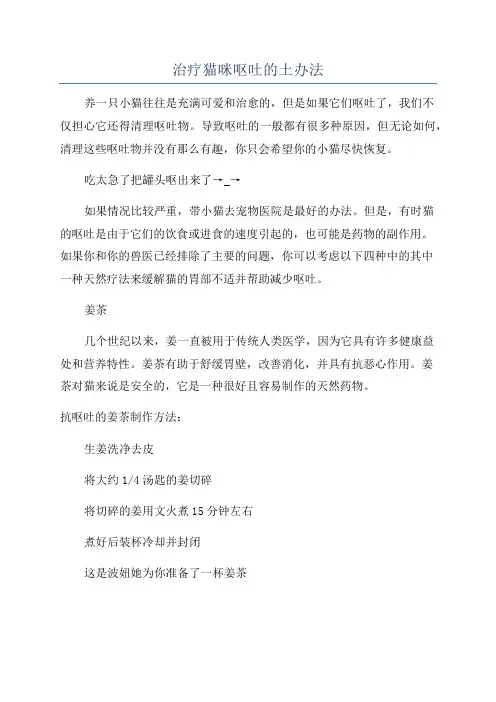 治疗猫咪呕吐的土办法