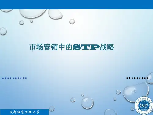 市场营销中的STP战略教材(PPT 36页)