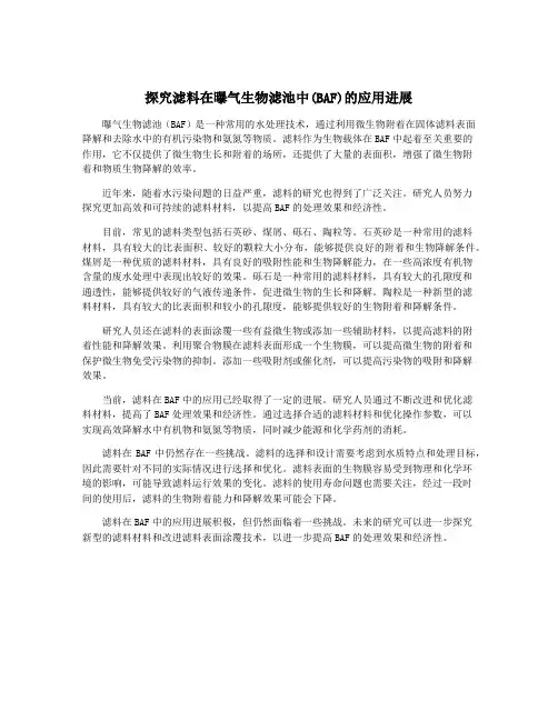 探究滤料在曝气生物滤池中(BAF)的应用进展
