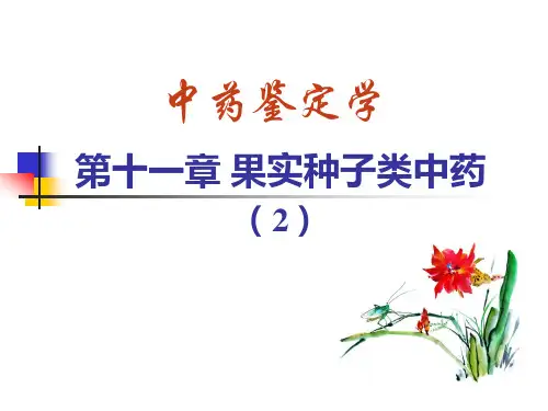 果实种子类中药(2)