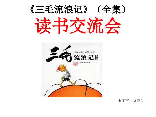 《三毛流浪记》(全集)读书交流会