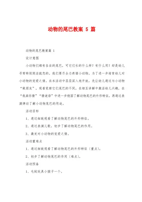动物的尾巴教案