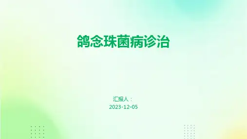 鸽念珠菌病诊治