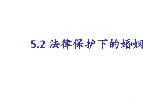 法律保护下的婚姻上课 ppt课件