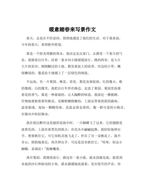 暖意踏春来写景作文