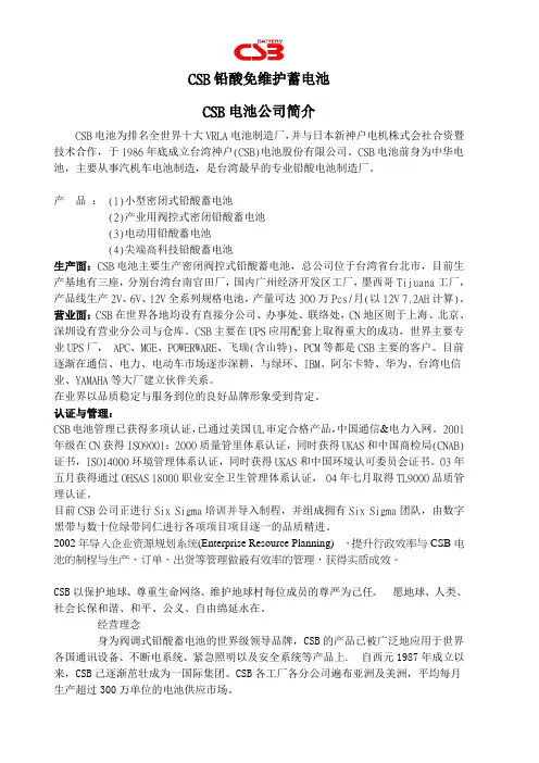 csb公司简介