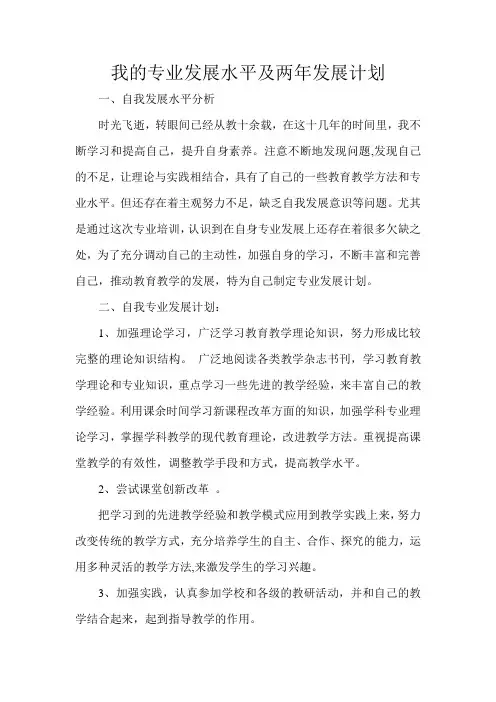 两年发展计划