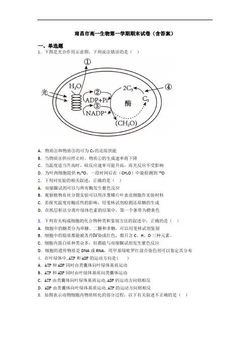 南昌市高一生物第一学期期末试卷(含答案)