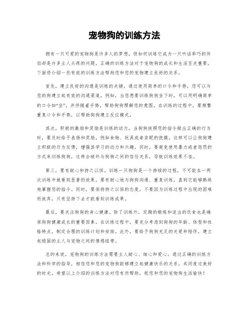 宠物狗的训练方法