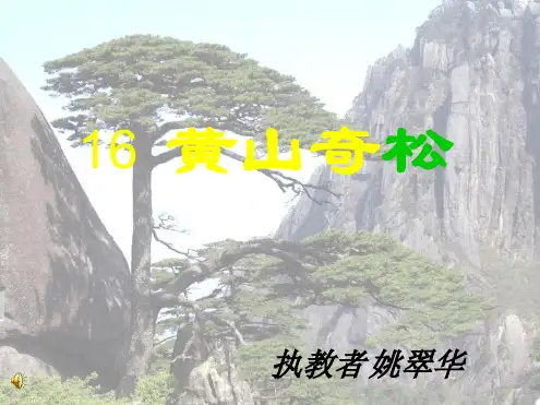 黄山奇松课件
