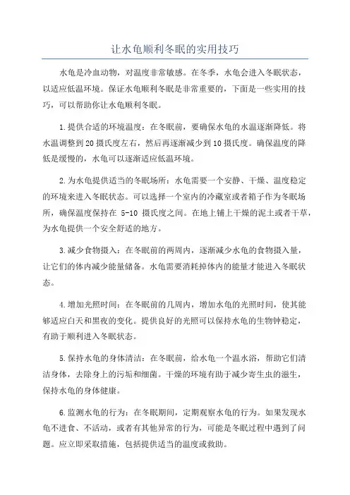 让水龟顺利冬眠的实用技巧