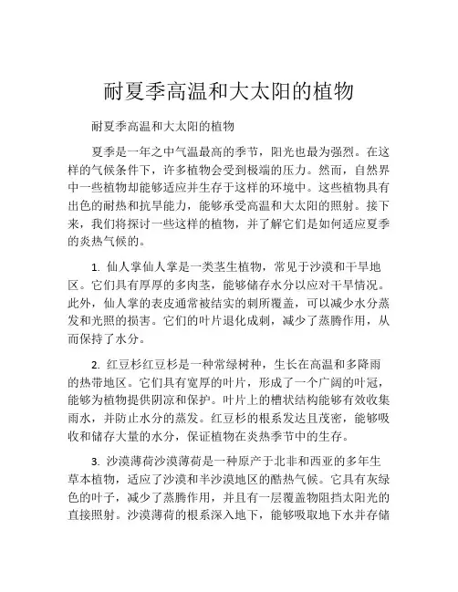 耐夏季高温和大太阳的植物