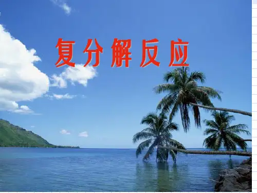 复分解反应PPT课件3