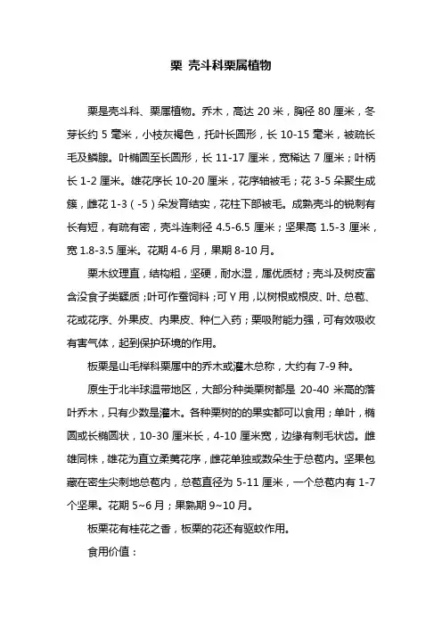 栗 壳斗科栗属植物