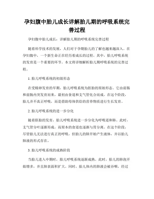 孕妇腹中胎儿成长详解胎儿期的呼吸系统完善过程