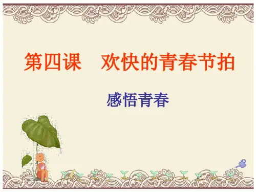 初中政治  感悟青春17 人教版  优秀公开课件