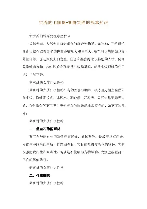 饲养的毛蜘蛛-蜘蛛饲养的基本知识